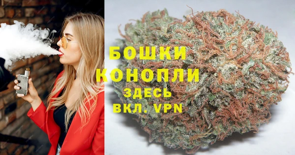 гашик Бронницы