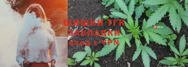 гашик Бронницы