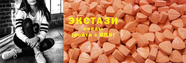 дживик Богородск